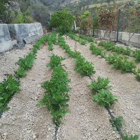 Casita Rural Y Casa Cueva El Perucho Semesterbostad