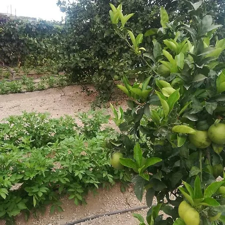 Casa Cueva El Perucho